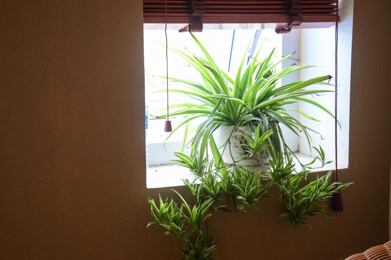 Ahoj Guest House Ha Long Bagian luar foto